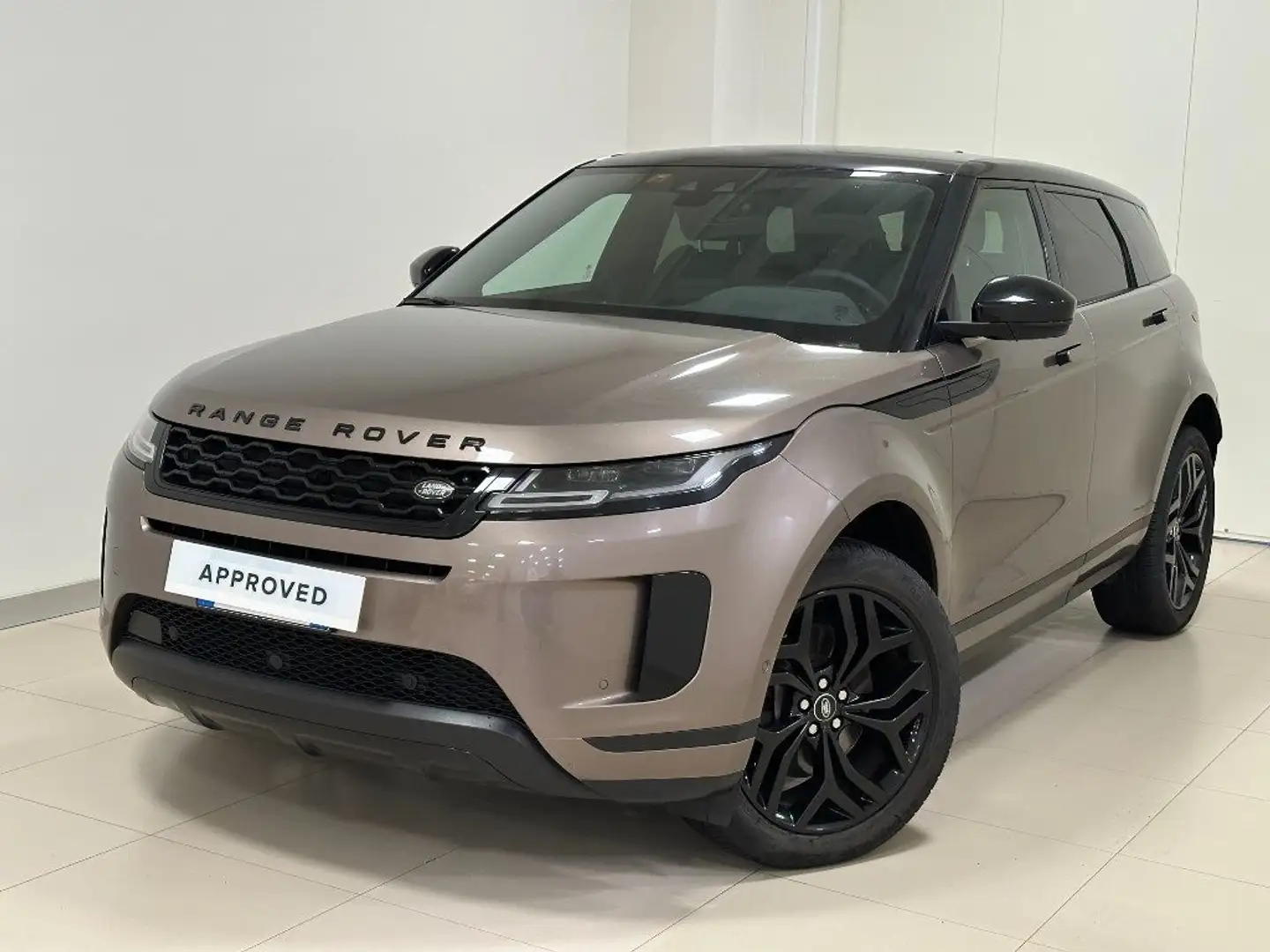 Land Rover Range Rover Evoque 2.0D I4-L.Flw 150 CV AWD Auto SE Bruin - 1