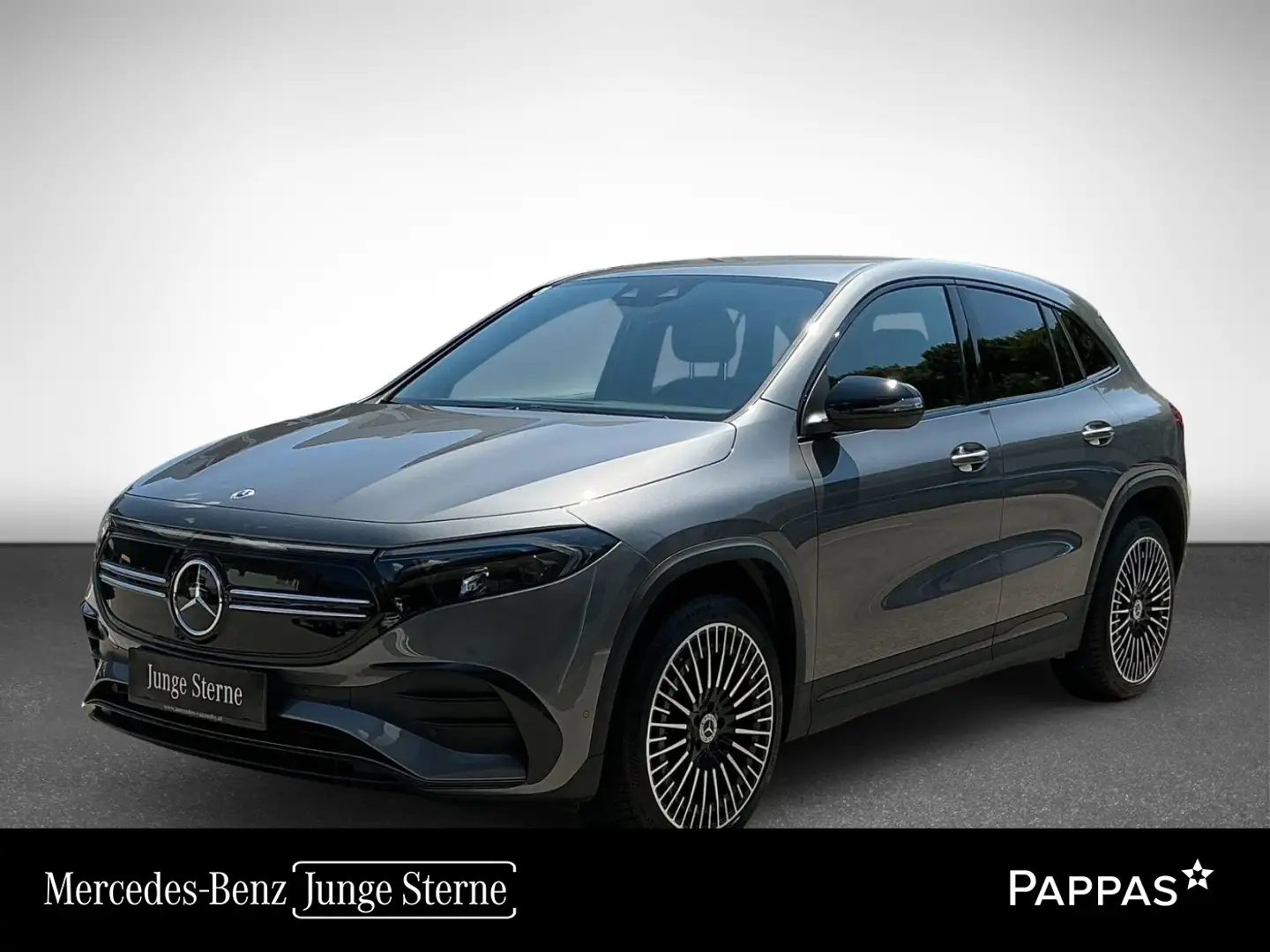 Mercedes-Benz EQA 250 PTS Cam Distr Navi AUT Wide AHK LED SHZ Grau - 1