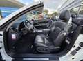 Lexus IS 250 Cabriolet 250C Executive Aut/Nav/NLAuto/Dealerond Wit - thumbnail 10