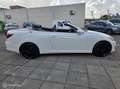 Lexus IS 250 Cabriolet 250C Executive Aut/Nav/NLAuto/Dealerond Wit - thumbnail 6