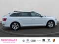 Skoda Superb Combi Ambition iV 1.4 TSI Ambition BusinessColumbu Weiß - thumbnail 8