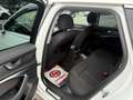 Audi A6 A6Avant 2,0 TDI DPF Aut. - thumbnail 13