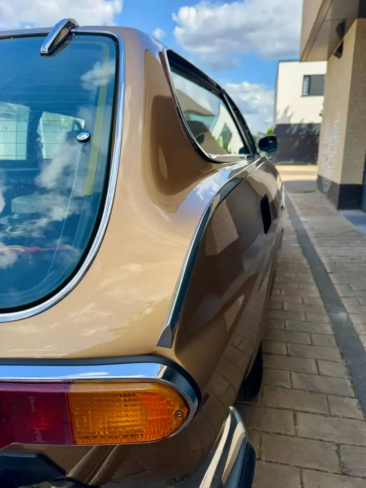 Volvo P1800 1800 ES, foto 12