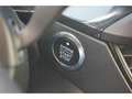 Ford Focus Focus IV 1.5 EcoBoost 150cv ST Line BVM6 1ERE MAIN Negro - thumbnail 19