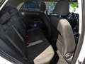 Volkswagen T-Roc 1.5 TSI DSG AHK Panorama Active Paket Weiß - thumbnail 8