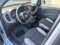 Fiat Panda Hybrid 1.0i 70CV City Life Grigio - thumbnail 8