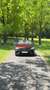 Mercedes-Benz E 400 d 4Matic Cabrio (238.423) // Designo // TRAUM // Rouge - thumbnail 17