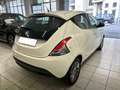 Lancia Ypsilon 0.9 TwinAir 85 CV 5 porte S&S Platinum Blanc - thumbnail 6
