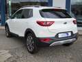 Kia Stonic 1.0 100cv HYBRID URBAN/BLACK EDITION/GT-LINE MY 25 Blanco - thumbnail 13