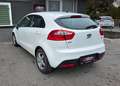 Kia Rio Spirit  CLEAR WHITE Weiß - thumbnail 9