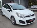 Kia Rio Spirit  CLEAR WHITE Weiß - thumbnail 5
