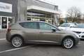 SEAT Leon 1.6 TDI S&S 110 ch Premium Braun - thumbnail 4