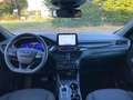 Ford Kuga Kuga 1.5 EcoBlue 120 CV aut. 2WD ST-Line Gris - thumbnail 7