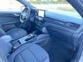 Ford Kuga Kuga 1.5 EcoBlue 120 CV aut. 2WD ST-Line Gris - thumbnail 20