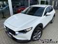 Mazda CX-30 Selection Automatik 2.0 SKYACTIV-X M Hybrid HUD Na Blanc - thumbnail 2