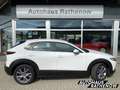 Mazda CX-30 Selection Automatik 2.0 SKYACTIV-X M Hybrid HUD Na Blanc - thumbnail 4