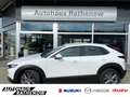 Mazda CX-30 Selection Automatik 2.0 SKYACTIV-X M Hybrid HUD Na Blanc - thumbnail 1