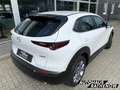 Mazda CX-30 Selection Automatik 2.0 SKYACTIV-X M Hybrid HUD Na Blanc - thumbnail 5