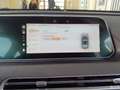 Ora Funky Cat Funky Cat 300 Pro 300 Batteriezertifikat Allwetter Schwarz - thumbnail 10