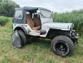 Jeep Willys M38 Plateado - thumbnail 10