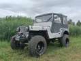 Jeep Willys M38 Plateado - thumbnail 1