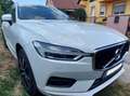 Volvo XC60 XC60 D4 AWD 2019 | Aus 2. Hand | Autobahnfahrzeug | Lückenlos gewartet | Top Zustand Weiß - thumbnail 2