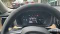 Volvo XC60 B5 Plus Dark AWD Aut. Verde - thumbnail 11