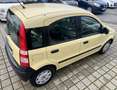 Fiat Panda II 1.2 8v 69ch Dynamic Euro5 Gelb - thumbnail 4