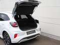 Ford Puma 1.0 MHEV ST-Line X LED ACC Kamera AHK Weiß - thumbnail 9