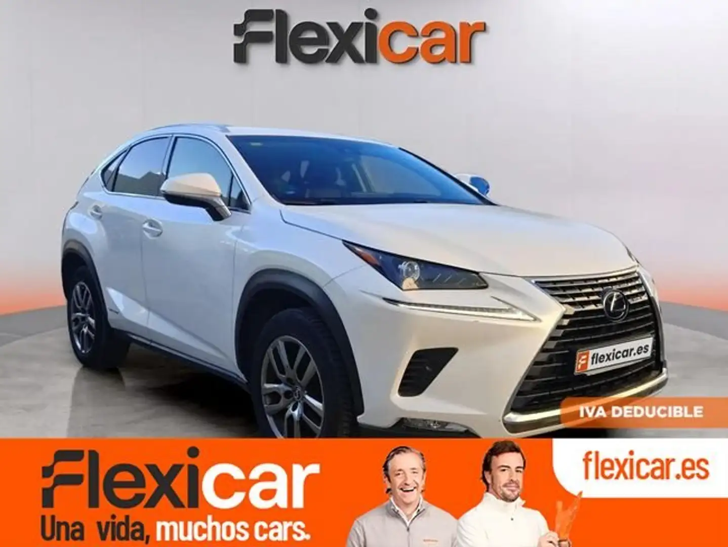 Lexus NX 300 300h Business 2WD Blanco - 1