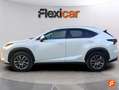 Lexus NX 300 300h Business 2WD Blanco - thumbnail 3