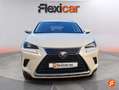 Lexus NX 300 300h Business 2WD Blanco - thumbnail 2