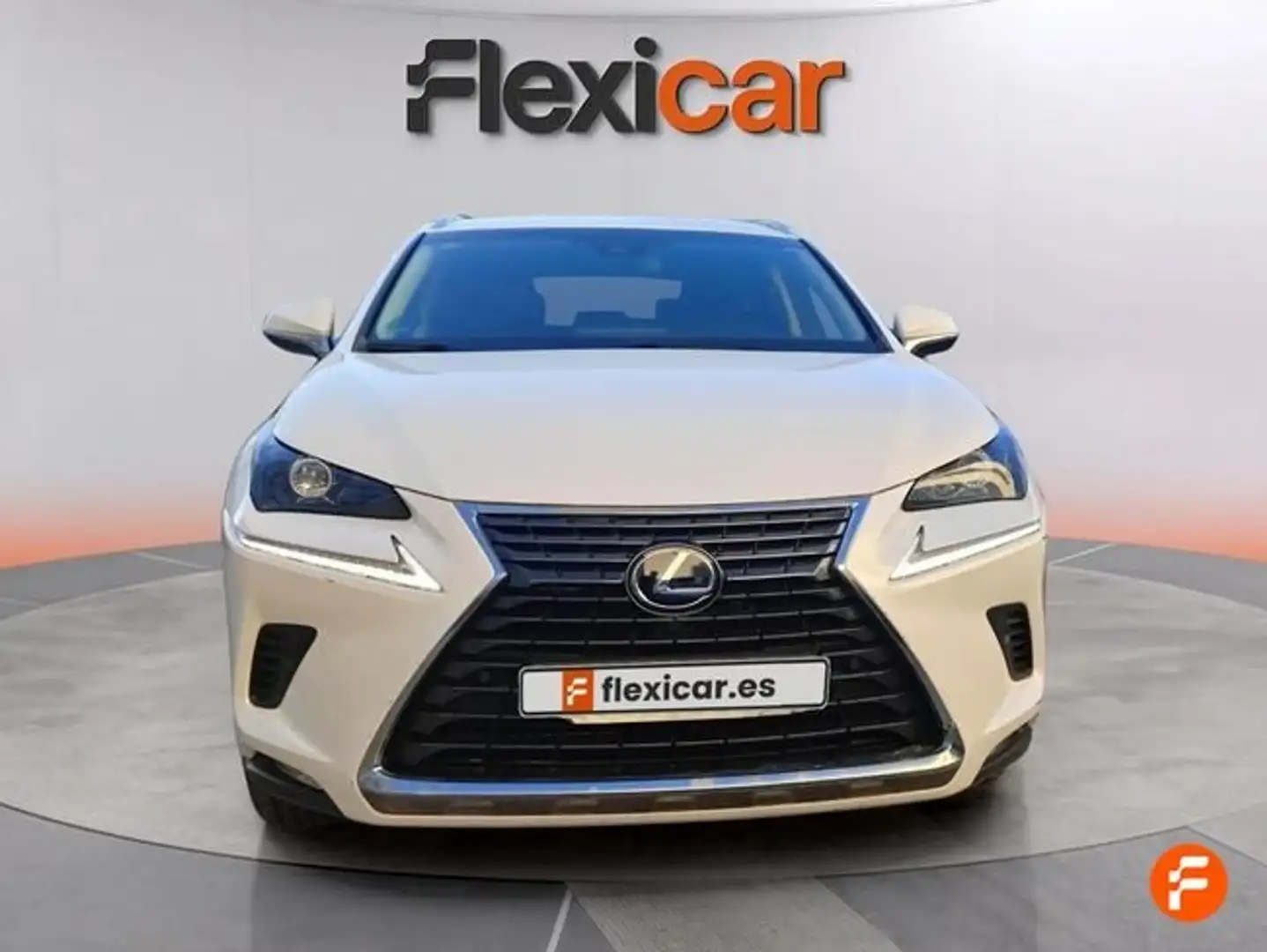 Lexus NX 300 300h Business 2WD Blanco - 2