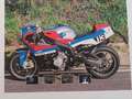 BMW S 1000 RR Special endurance cafe racer Blauw - thumbnail 22