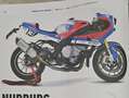BMW S 1000 RR Special endurance cafe racer Blauw - thumbnail 13