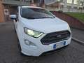 Ford EcoSport ST-Line S 1.0 EcoBoost 125cv Bianco - thumbnail 15