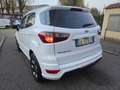 Ford EcoSport ST-Line S 1.0 EcoBoost 125cv Bianco - thumbnail 13