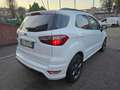 Ford EcoSport ST-Line S 1.0 EcoBoost 125cv Bianco - thumbnail 4
