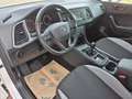SEAT Ateca 1,0 TSI Reference Ecomotive Weiß - thumbnail 7