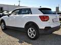 Audi Q2 Q2 30 2.0 tdi Business Advanced s-tronic Bianco - thumbnail 10
