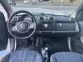 smart forTwo Fortwo II 2007 1.0 mhd Passion 71cv Grau - thumbnail 7