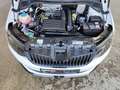 Skoda Fabia Combi 1.2 TSI DSG Monte Carlo Pano|SHZ|Klimaaut. Weiß - thumbnail 24