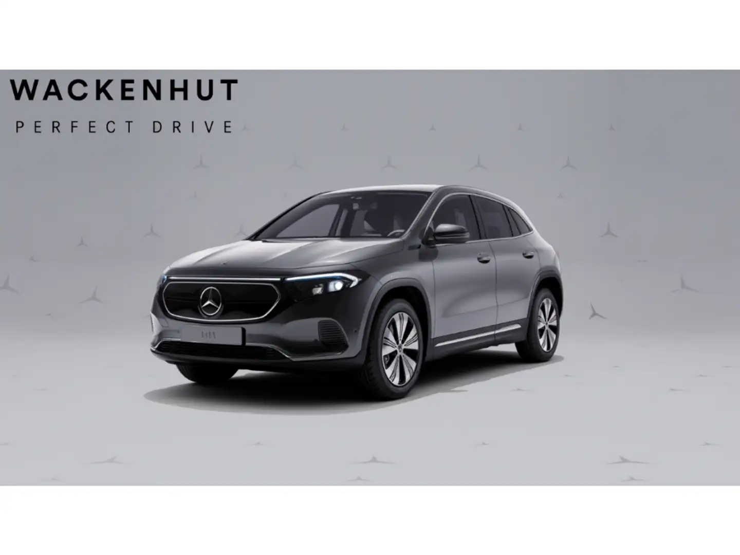 Mercedes-Benz 250 + ELECTRIC ART ADVANCED LED BUSINESS RFK Grau - 1