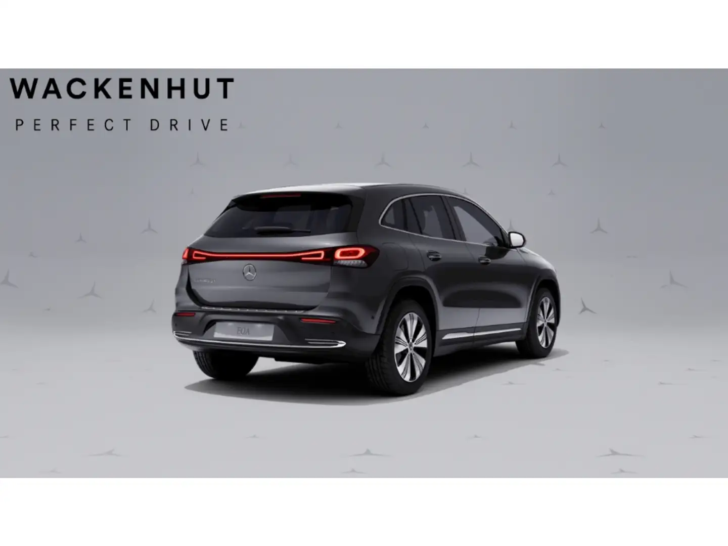 Mercedes-Benz 250 + ELECTRIC ART ADVANCED LED BUSINESS RFK Grau - 2