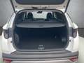 Hyundai TUCSON Hybrid PRIME *Facelift* MY25 SHZ NAVI Weiß - thumbnail 19