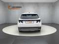 Hyundai TUCSON Hybrid PRIME *Facelift* MY25 SHZ NAVI Weiß - thumbnail 6