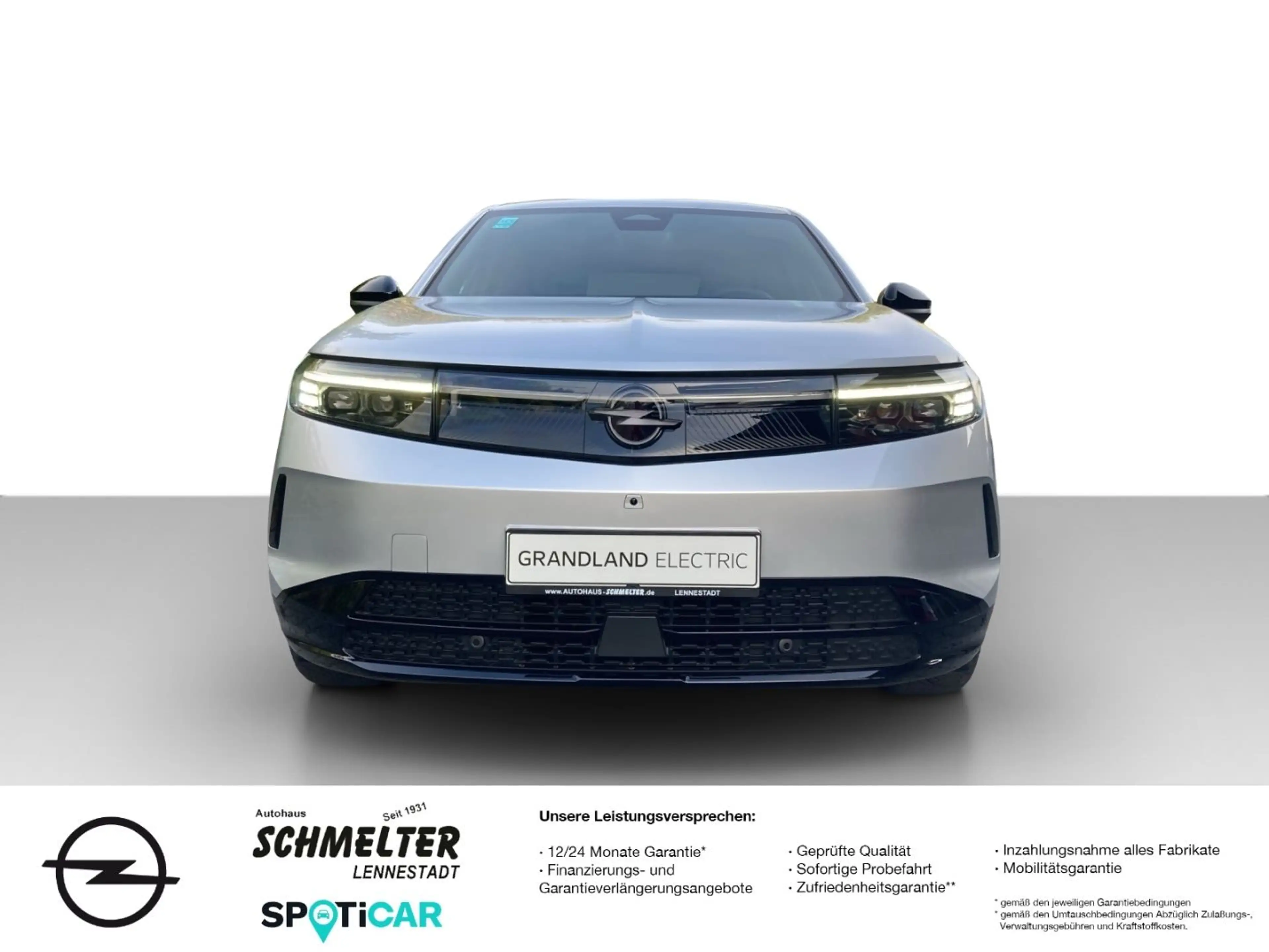 Opel Grandland X Grandland Electric GS, 19'',AHK,Kamera,Navi,DAB — photo 6