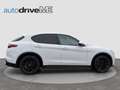 Alfa Romeo Stelvio Super 2,2 ATX AWD Weiß - thumbnail 7