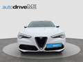 Alfa Romeo Stelvio Super 2,2 ATX AWD Weiß - thumbnail 2