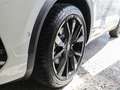 Volkswagen T-Roc 1.5 TSI DSG R-Line Black Style Pano AHK Weiß - thumbnail 3